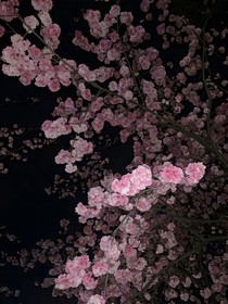 果果的无限脑洞