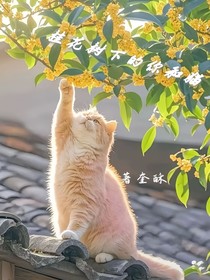 桂花树下的你和猫