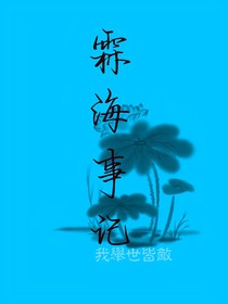 霖海事记