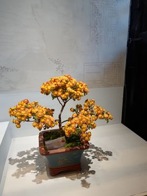往事浮现