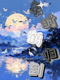 年时鹤归到