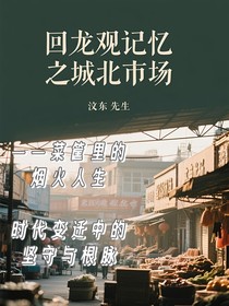 回龙观记忆之城北市场