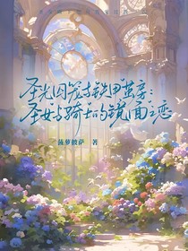 圣光囚笼与铁甲茧房：圣女与骑士的镜面之恋