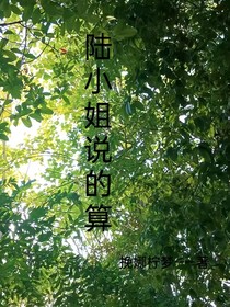 陆小姐说的算