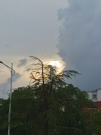 心随风落