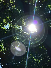 我爱你：没有理由