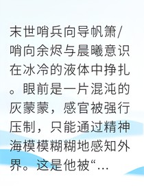 帆任燃烬高塔