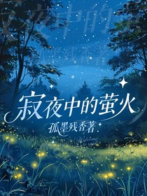 寂夜中的萤火