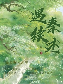 遇秦续述
