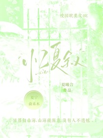 忆夏叙