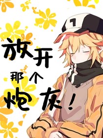 放开那个炮灰！（凹凸世界同人）
