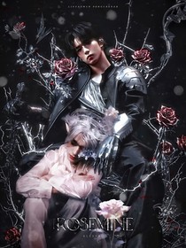 TNT：不会再疼