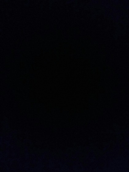 黑夜中的复仇者