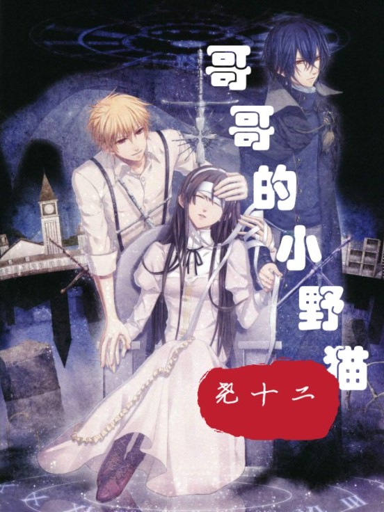 哥哥的小野猫