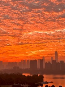 阿数，请再爱我一次