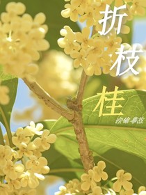 折枝桂