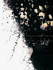 白怨之咒