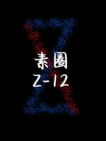 素圈Z—12