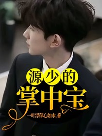 源少的掌中宝