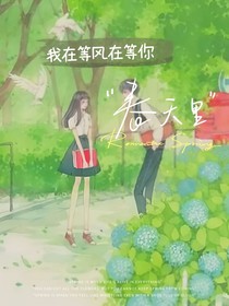 我在等风在等你