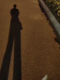 神豪：小羊的暴富日记