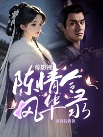 综影视：陈情令风华录