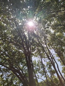 黎晗随笔集