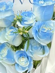 名柯：蓝玫瑰的恋歌