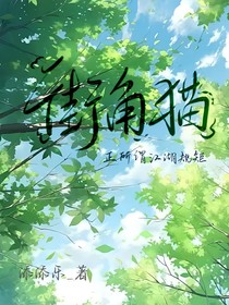 街角猫