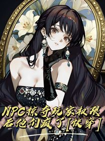 NPC掠夺玩家权限后他们疯了（快穿）