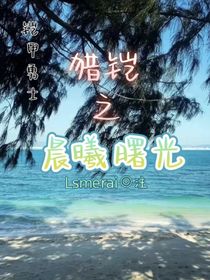 铠甲勇士猎铠之晨曦曙光