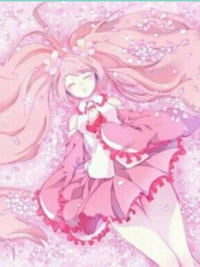 神兽金刚——遇见你是最美好的事