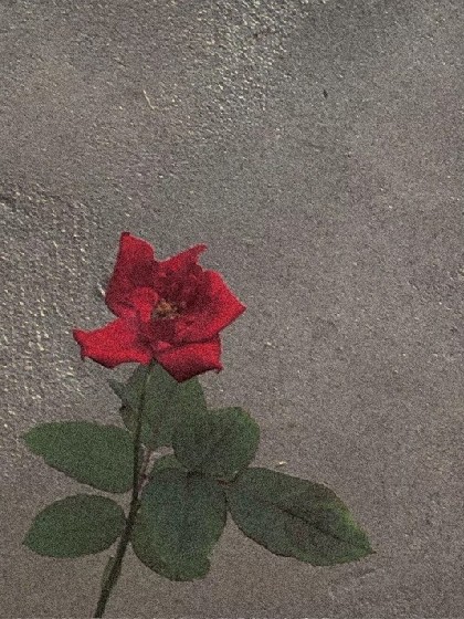 还珠格格之以萱格格