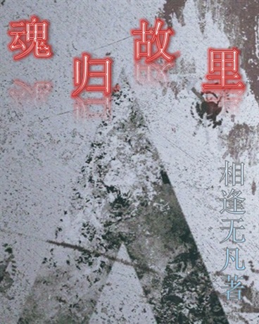 流落地球者期盼魂归故里