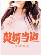 赘婿当道