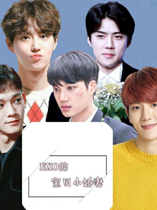 EXO的宝贝小娇妻