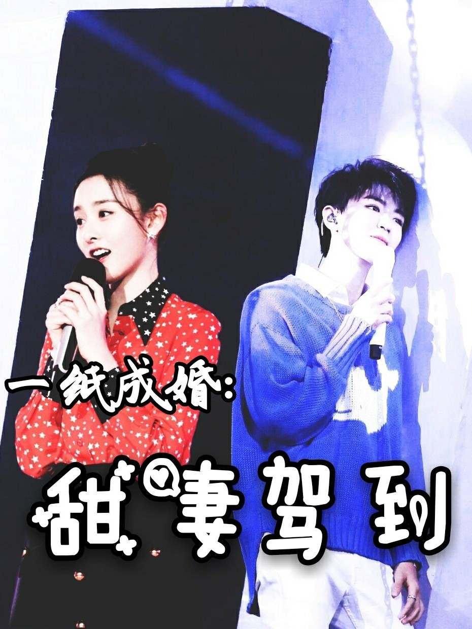 一纸成婚，甜妻驾到