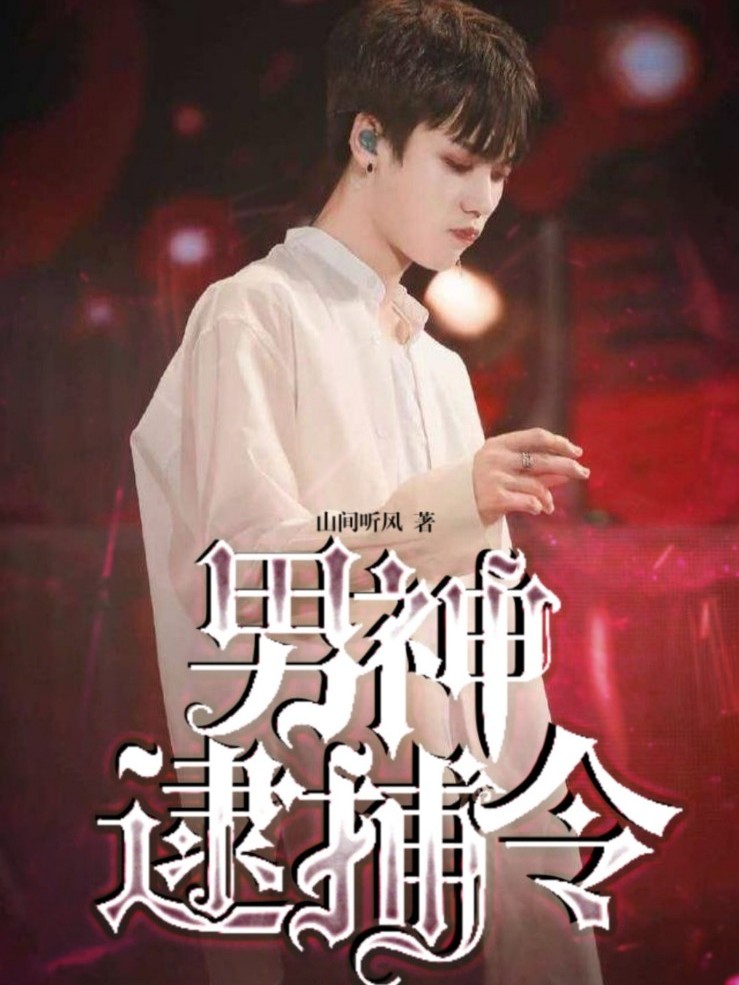 NPC：男神逮捕令