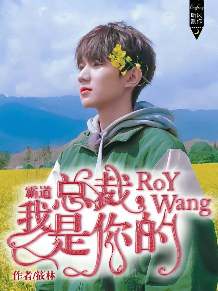 霸道总裁我是你的RoyWang